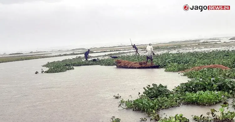 ‘মনকে সান্ত্বনা দেই ফসল দিয়েছেন আল্লাহ, নিয়েছেনও তিনি’