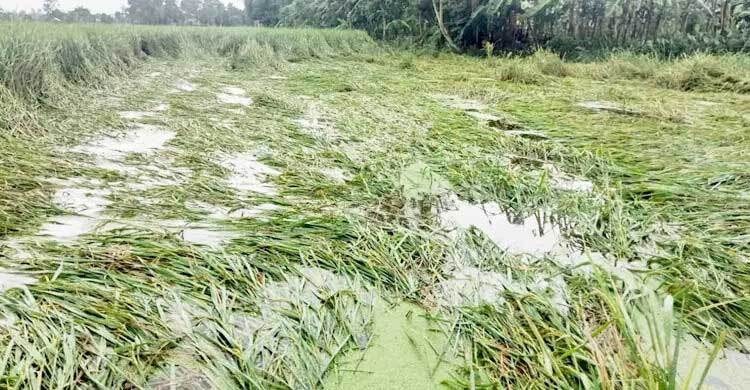 PM orders aid for hailstorm, flash flood victims during Eid holidays