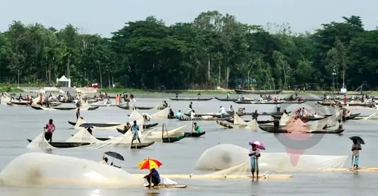 হালদাকে মৎস্য হেরিটেজ ঘোষণা, মাছ ও জলজ প্রাণী শিকার নিষিদ্ধ