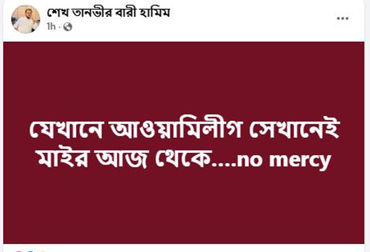 যেখানে আওয়ামী লীগ সেখানেই মাইর: হামীম