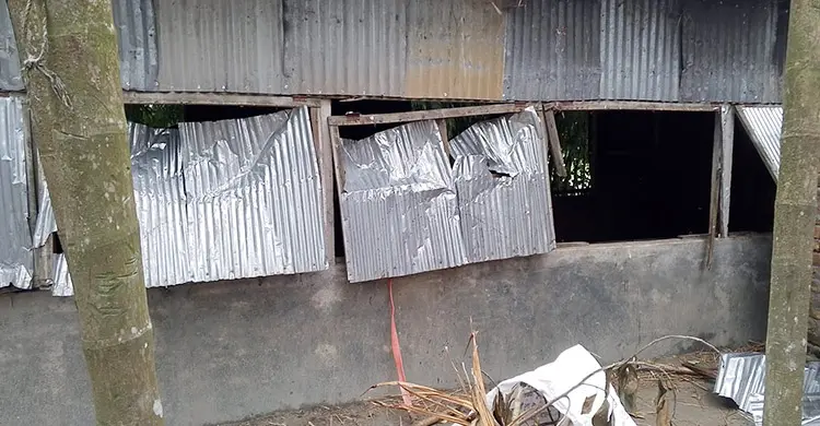 দিনদুপুরে আওয়ামী লীগ নেতাদের তাণ্ডব, লুট করা গরু দিয়ে ভূরিভোজ