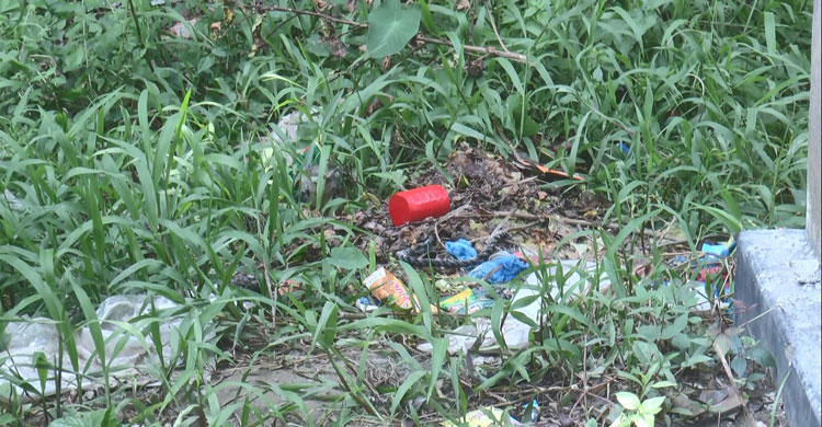 মাদারীপুরে সাংবাদিকের বাড়িতে ককটেল হামলা-লুটপাট