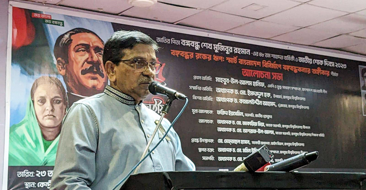 বাংলাভাইসহ সব জঙ্গি বিএনপির মদদে সৃষ্টি: হানিফ