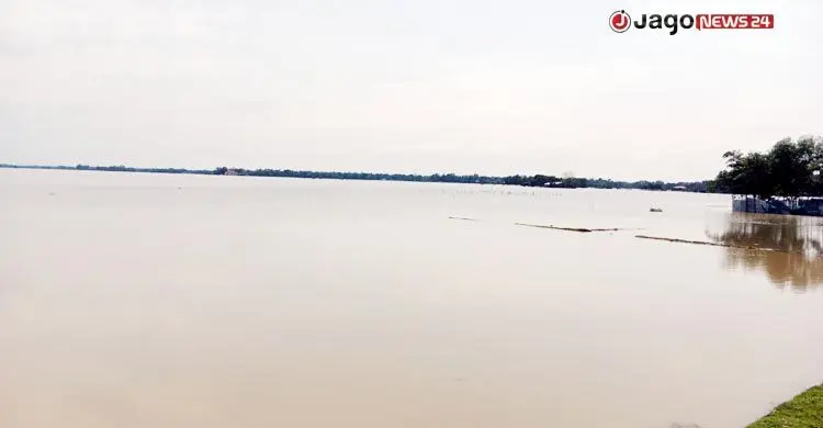 হাওরে পানি কমলেও ধানের আশা ছেড়ে দিচ্ছেন কৃষকরা