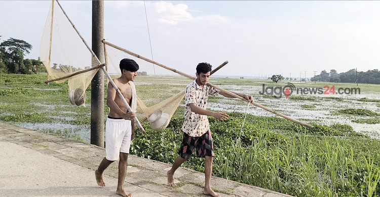 কাগজে-কলমে উৎপাদন বাড়লেও হাওরে মিলছে না মাছ