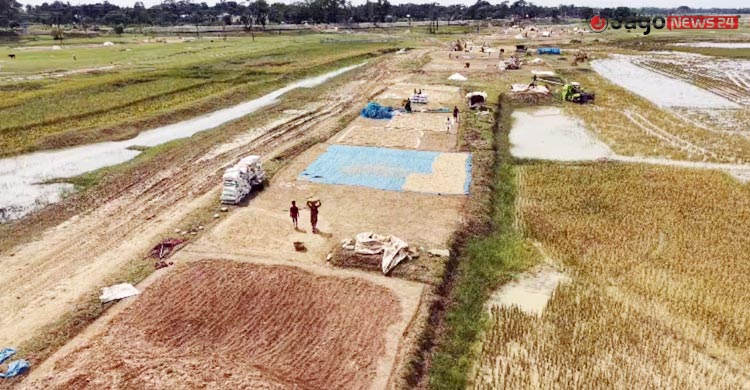 হাওরে হাসির বদলে কান্নার ঈদ