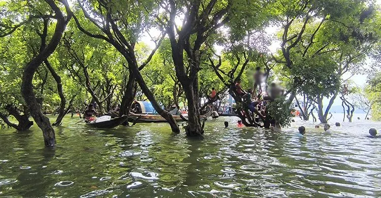 টাঙ্গুয়ার হাওর ভ্রমণে মানতে হবে ১১ নির্দেশনা