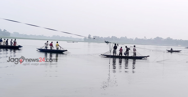 কাগজে-কলমে উৎপাদন বাড়লেও হাওরে মিলছে না মাছ