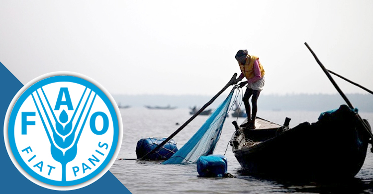 বঙ্গোপসাগরের মৎস্য আহরণে পাশে থাকবে জাতিসংঘ