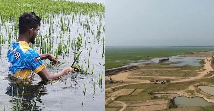 হাওরপাড়ের কৃষকের কান্না শুনবে কে?