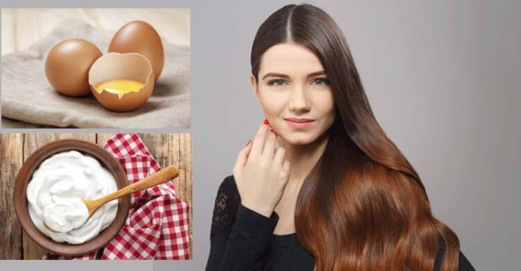 চুলের যত্নে টকদই না ডিম, কোনটি বেশি উপকারী