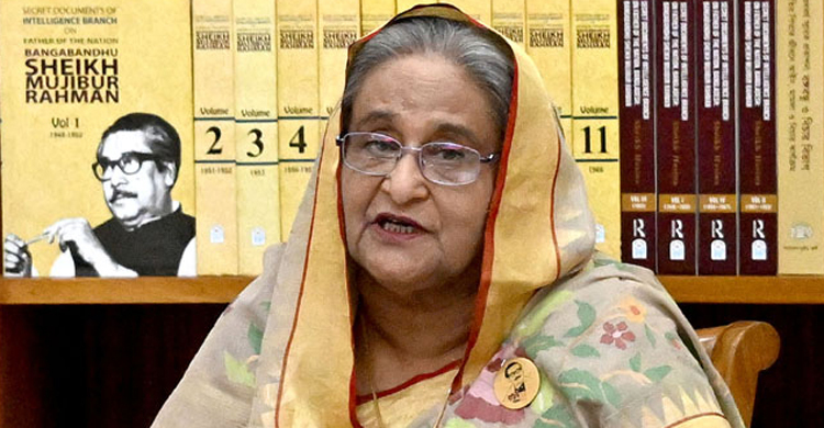 BNP merely knows how to destroy, plunder: PM