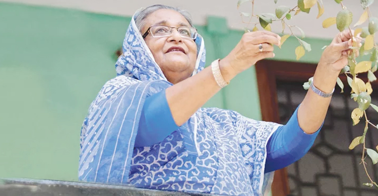 শেখ হাসিনার স্বদেশ প্রত্যাবর্তন দিবসে বিটিভির আয়োজন