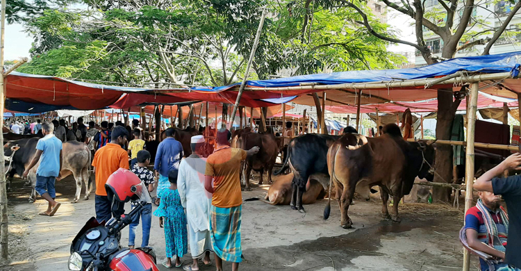 ইজারা স্থগিতের বিরুদ্ধে আপিল শুনানি ১২ জুন