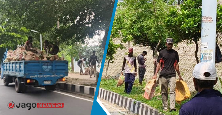 হাতিরঝিলে ক্র্যাশ প্রোগ্রাম, নান্দনিক রূপে ফিরছে ‘রাজধানীর ফুসফুস’