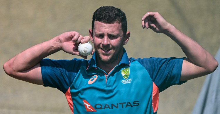Australia's Hazlewood ruled out of T20 World Cup