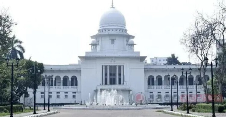 বেওয়ারিশ কুকুর অপসারণে হাইকোর্টের রুল
