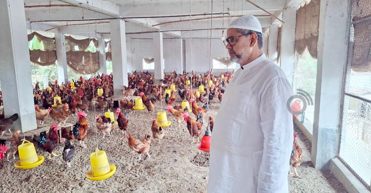 ইসমাইলের মুরগির খামারে শতাধিক মানুষের কর্মসংস্থান