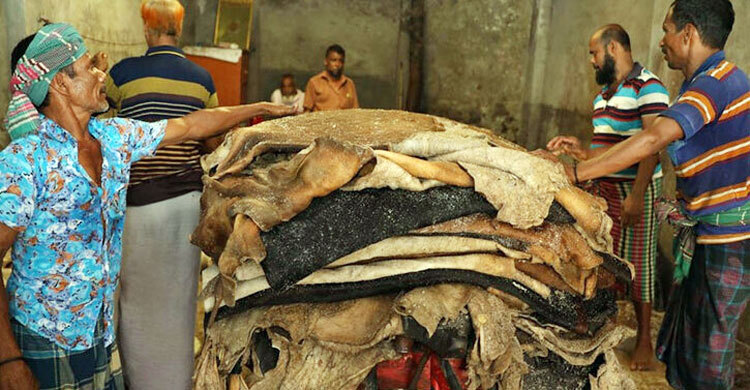 Cow rawhide prices fixed at Tk 55-60 per sqft in Dhaka