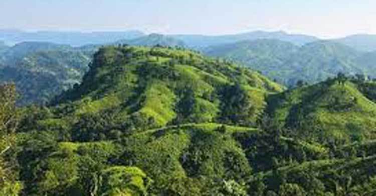 টেকনাফে দুর্গম পাহাড়ে অস্ত্র কারখানার সন্ধান, অভিযানে র‍্যাব