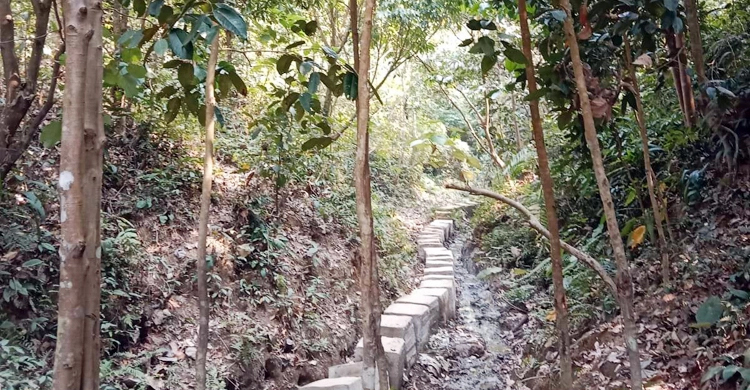 টেকনাফে ফের দুই রোহিঙ্গাসহ চারজনকে অপহরণ