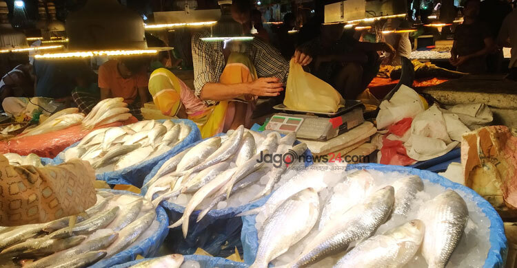 সরবরাহ বেড়েছে ইলিশের, দাম সামান্য কমেছে