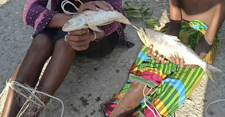 ইলিশ চুরির অভিযোগে দুই শিশুকে হাত-পা বেঁধে নির্যাতন