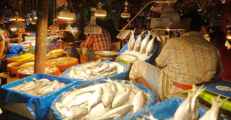 আকাশছোঁয়া ইলিশের দাম ফের বেড়েছে, অন্য মাছও কেনা দায়