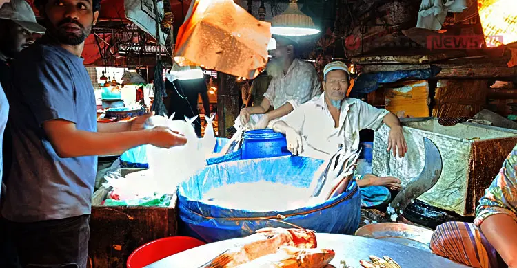 ইলিশ এখন &lsquo;স্বপ্নের মাছ&rsquo;