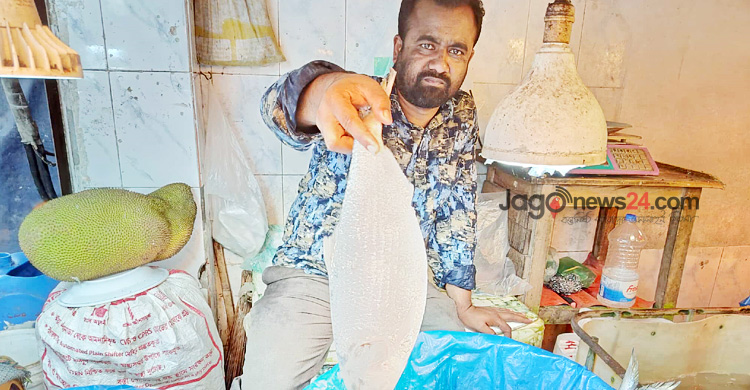 ইলিশের সংকট বাজারে, চড়া দামে পাতে তোলা দায়