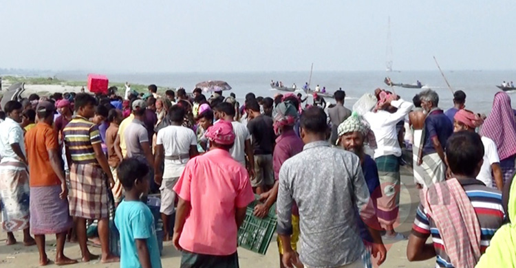 রাতে অবাধে নিধন, সকালে বসে ইলিশের হাট