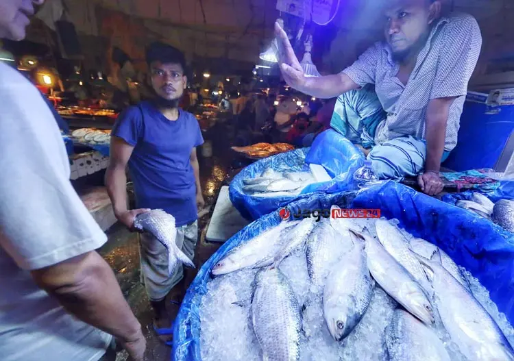 ইলিশের উৎপাদন ও ওজন কমছে কেন?
