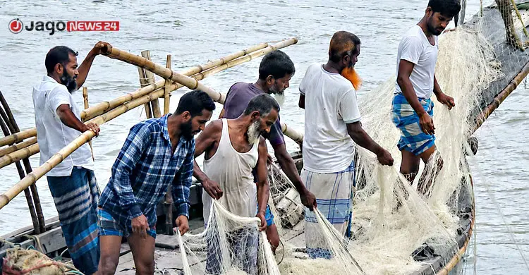 কাগজে-কলমে ইলিশ উৎপাদন বাড়ছে, বাস্তবে হাহাকার