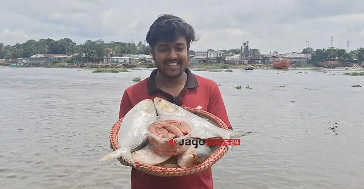 বাড়লো চাঁদপুরের ইলিশের ডিমের দাম, কেজি ৬০০০ টাকা