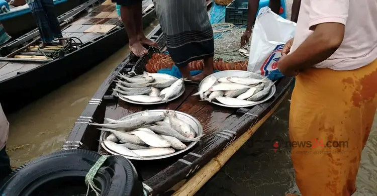 ধরপাকড় চললেও বন্ধ নেই ইলিশ শিকার