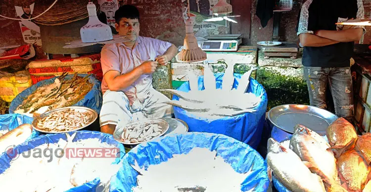 ইলিশ এখন &lsquo;স্বপ্নের মাছ&rsquo;