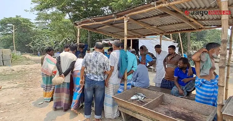 ‘নদীর সব জাটকা ধরা হয়ে গেছে, মনে হয় না সামনে ইলিশ পাবো’