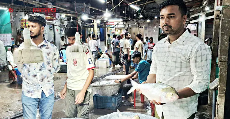 কাগজে-কলমে ইলিশ উৎপাদন বাড়ছে, বাস্তবে হাহাকার