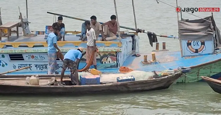 ‘নদীর সব জাটকা ধরা হয়ে গেছে, মনে হয় না সামনে ইলিশ পাবো’