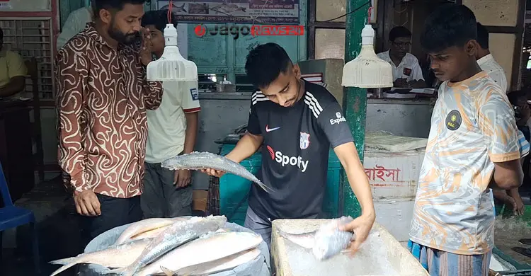 কাগজে-কলমে ইলিশ উৎপাদন বাড়ছে, বাস্তবে হাহাকার