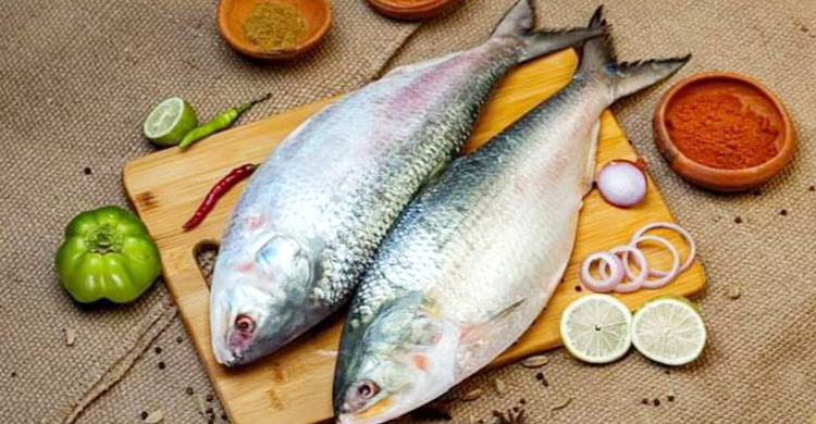 কোন ইলিশ বেশি স্বাদ, ছোট না বড়