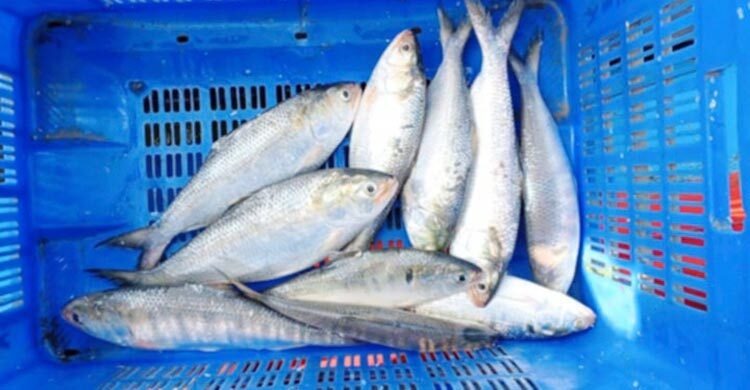 Kechki libosdagi sariq porno fotosurat