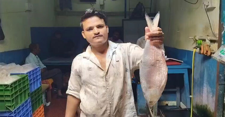 অবশেষে ভারত পৌঁছালো বাংলাদেশি ইলিশের প্রথম চালান