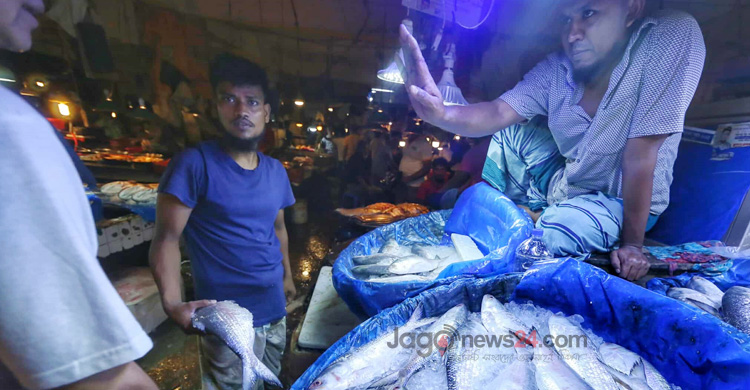 ইলিশের দাম কি এ বছর আর কমবে?