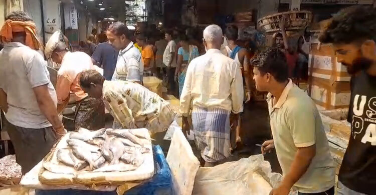 বাংলাদেশের চেয়ে গুজরাট-মিয়ানমারের ইলিশ বেশি কিনছে পশ্চিমবঙ্গবাসী
