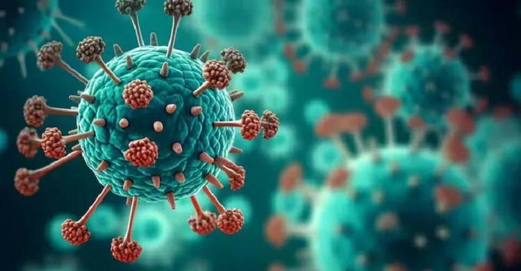 Virologists urge not to panic over HMPV