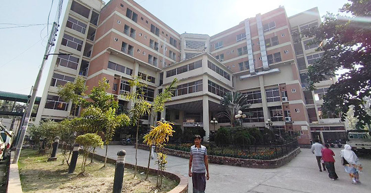 মাদারীপুরে বেড়েছে সাপে কাটা রোগী, সবচেয়ে বেশি শিবচরে