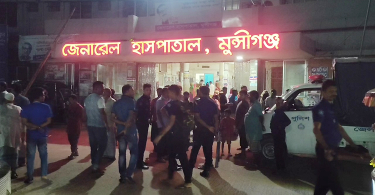 মুন্সিগঞ্জে ভিমরুলের কামড়ে প্রবাসফেরত ব্যক্তির মৃত্যু