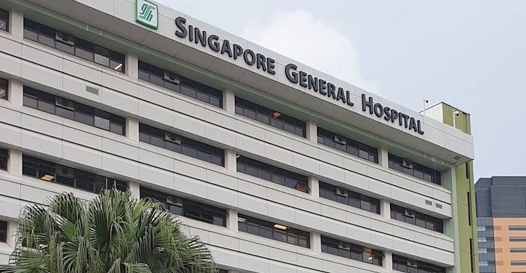 স্পিকারের সহধর্মিণী দিলারা হাফিজ সিঙ্গাপুরে ভেন্টিলেশনে