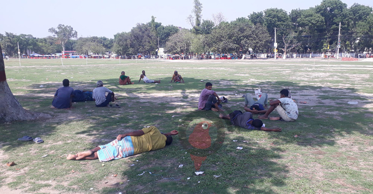 দাবদাহে শ্রমজীবী মানুষের ভরসা গাছের ছায়া